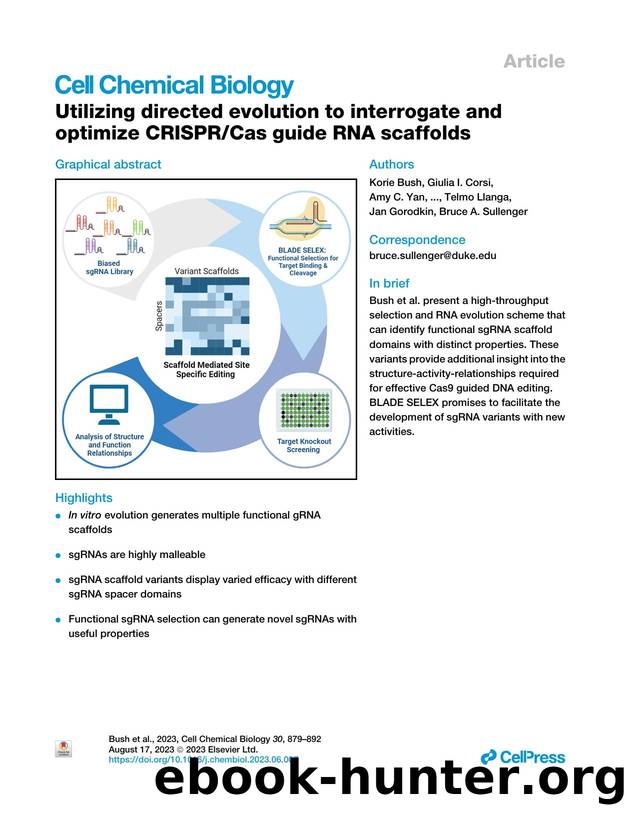Utilizing directed evolution to interrogate and optimize CRISPRCas guide RNA scaffolds by unknow