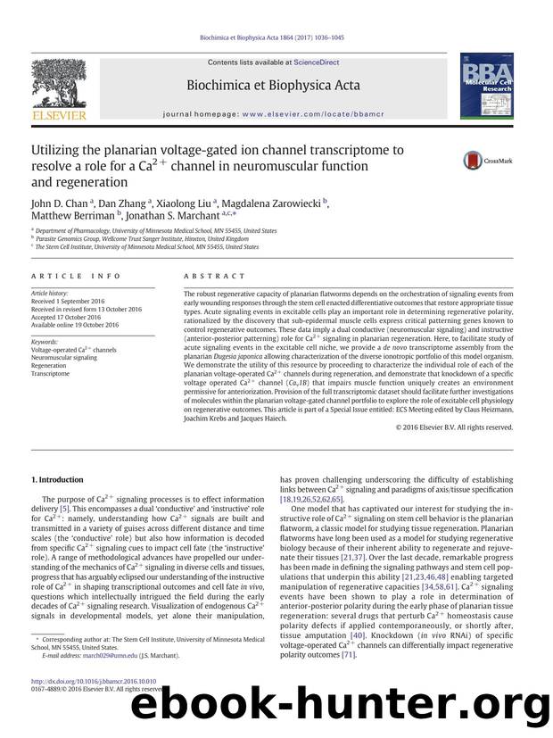 Utilizing the planarian voltage-gated ion channel transcriptome to resolve a role for a Ca2+ channel in neuromuscular function and regeneration by unknow