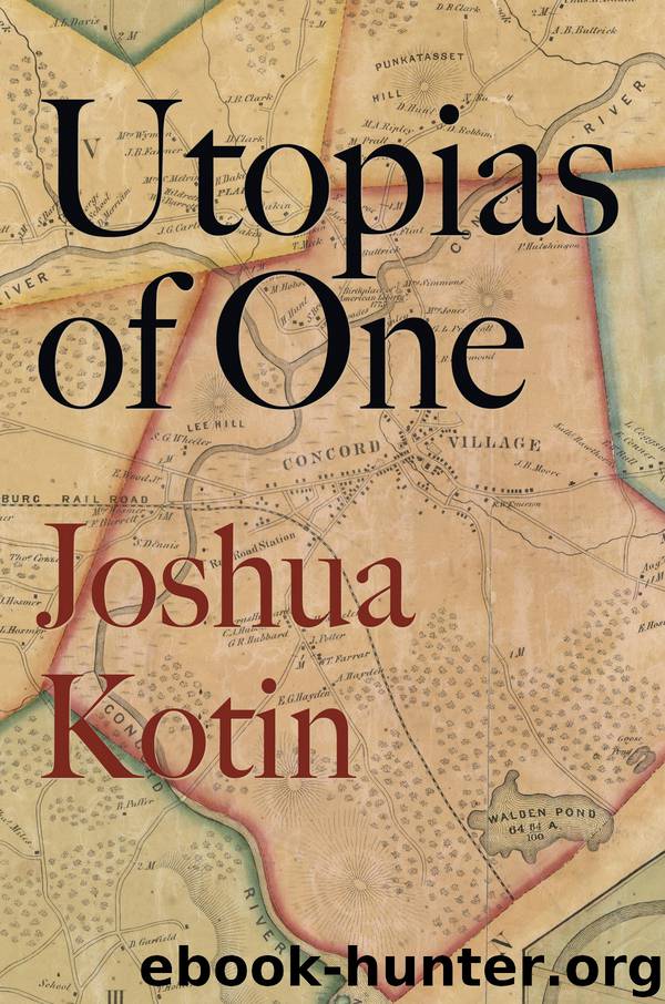 Utopias of One by Joshua Kotin