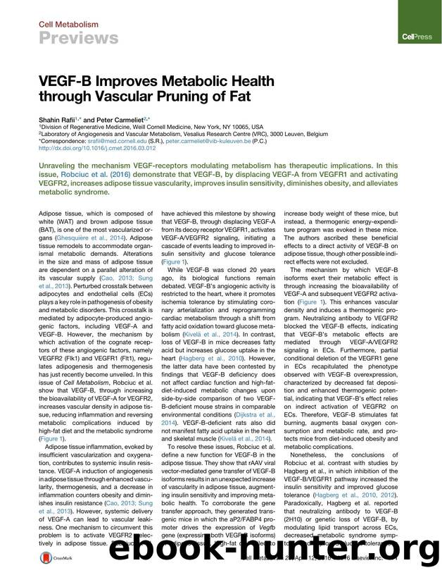 VEGF-B Improves Metabolic Health through Vascular Pruning of Fat by Shahin Rafii & Peter Carmeliet