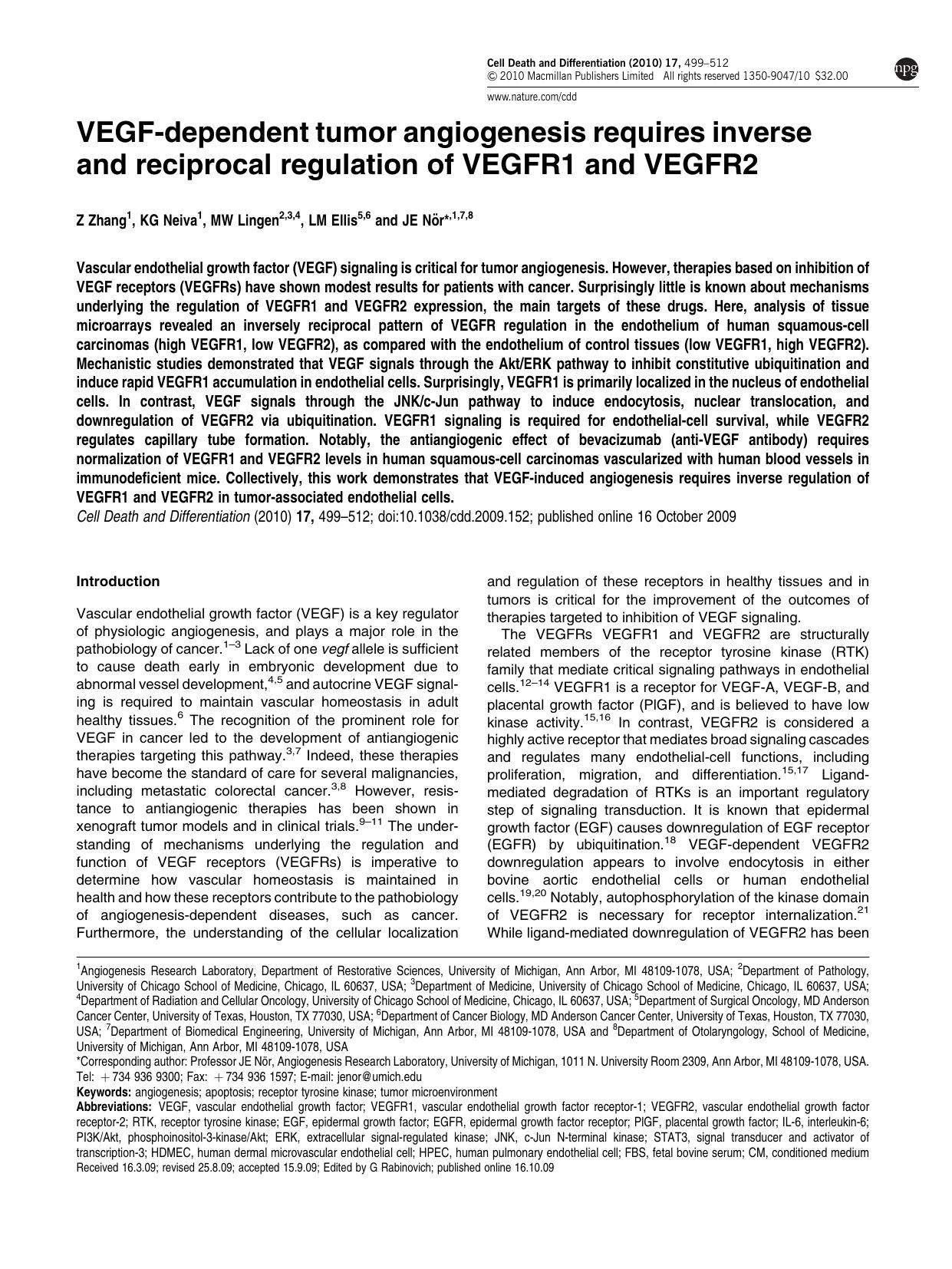 VEGF-dependent tumor angiogenesis requires inverse and reciprocal regulation of VEGFR1 and VEGFR2 by Z Zhang & K G Neiva & M W Lingen & L M Ellis & J E N&&ouml;r