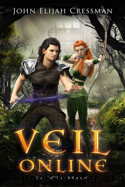 VEIL Online - Book 1 by Cressman John