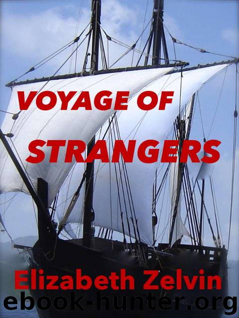VOYAGE OF STRANGERS by Zelvin Elizabeth