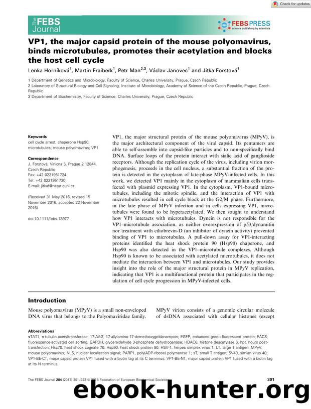 VP1, the major capsid protein of the mouse polyomavirus, binds microtubules, promotes their acetylation and blocks the host cell cycle by Unknown