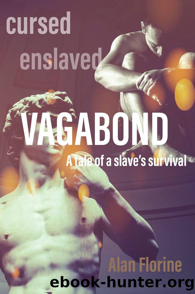 Vagabond: A tale of a slave's survival in ancient Rome (The Empress and the Vagabond Book 1) by Florine Alan