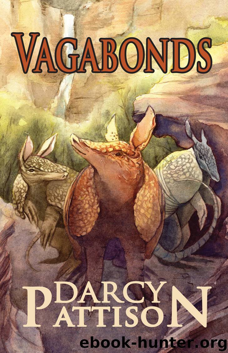 Vagabonds by Darcy Pattison