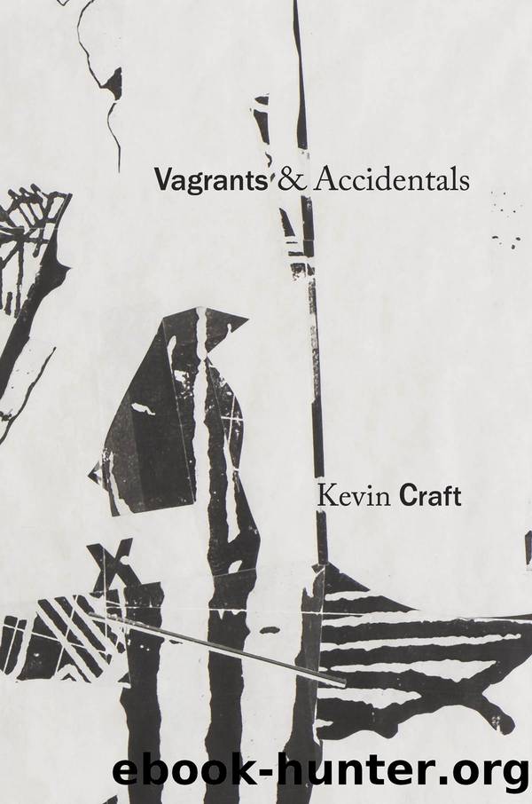 Vagrants & Accidentals by Kevin Craft