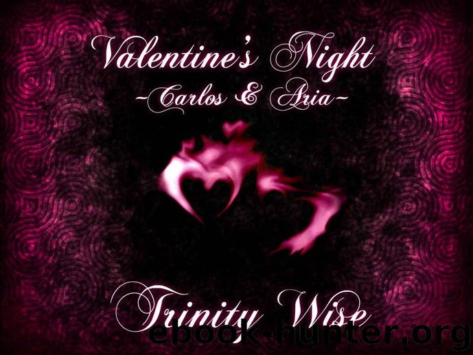 Valentine's Night by Trinity Wise