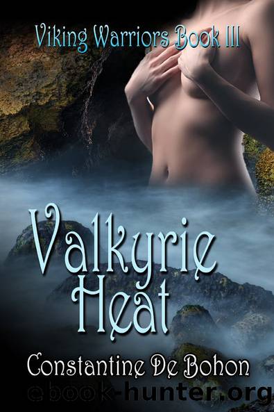 Valkyrie Heat by Constantine de Bohon
