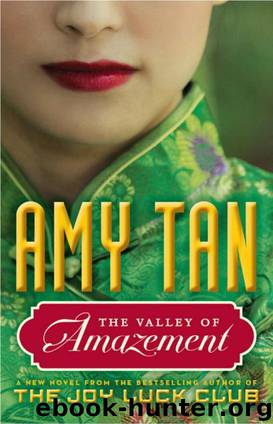 Valley of Amazement, The by Tan Amy