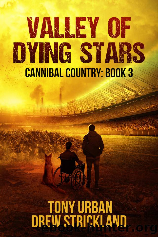 Valley of Dying Stars: A Post Apocalyptic Thriller (Cannibal Country Book 3) by Strickland Drew & Urban Tony