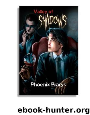 Valley of Shadows by Emrys Phoenix