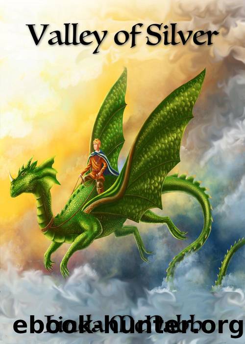 Valley of Silver by Linda McNabb