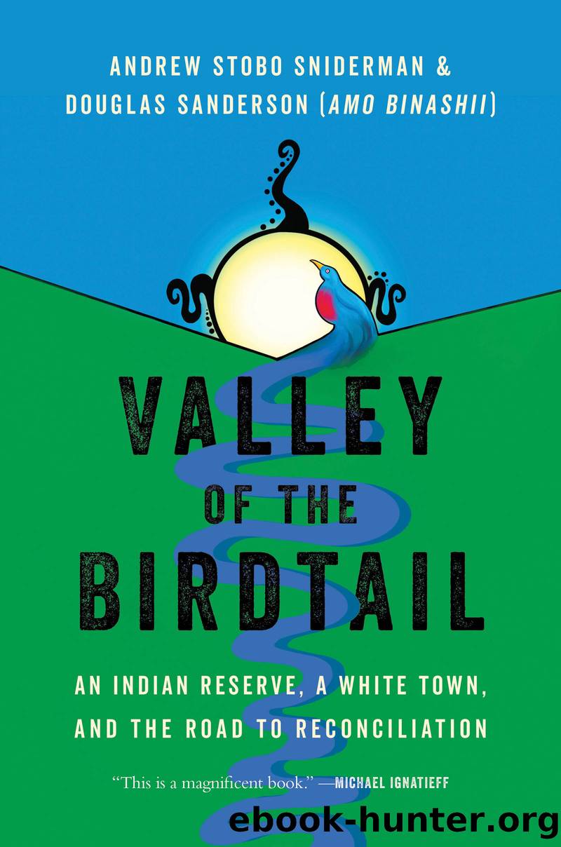 Valley of the Birdtail by Andrew Stobo Sniderman