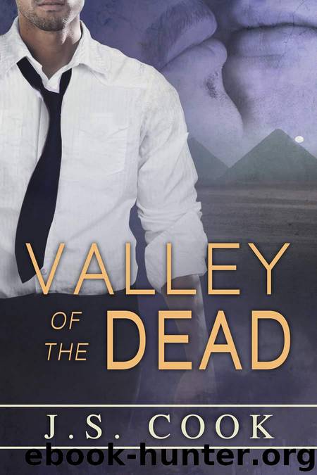 Valley of the Dead by Cook J.S