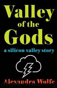 Valley of the Gods: A Silicon Valley Story by Alexandra Wolfe