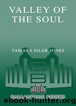 Valley of the Soul by Tamara Siler Jones