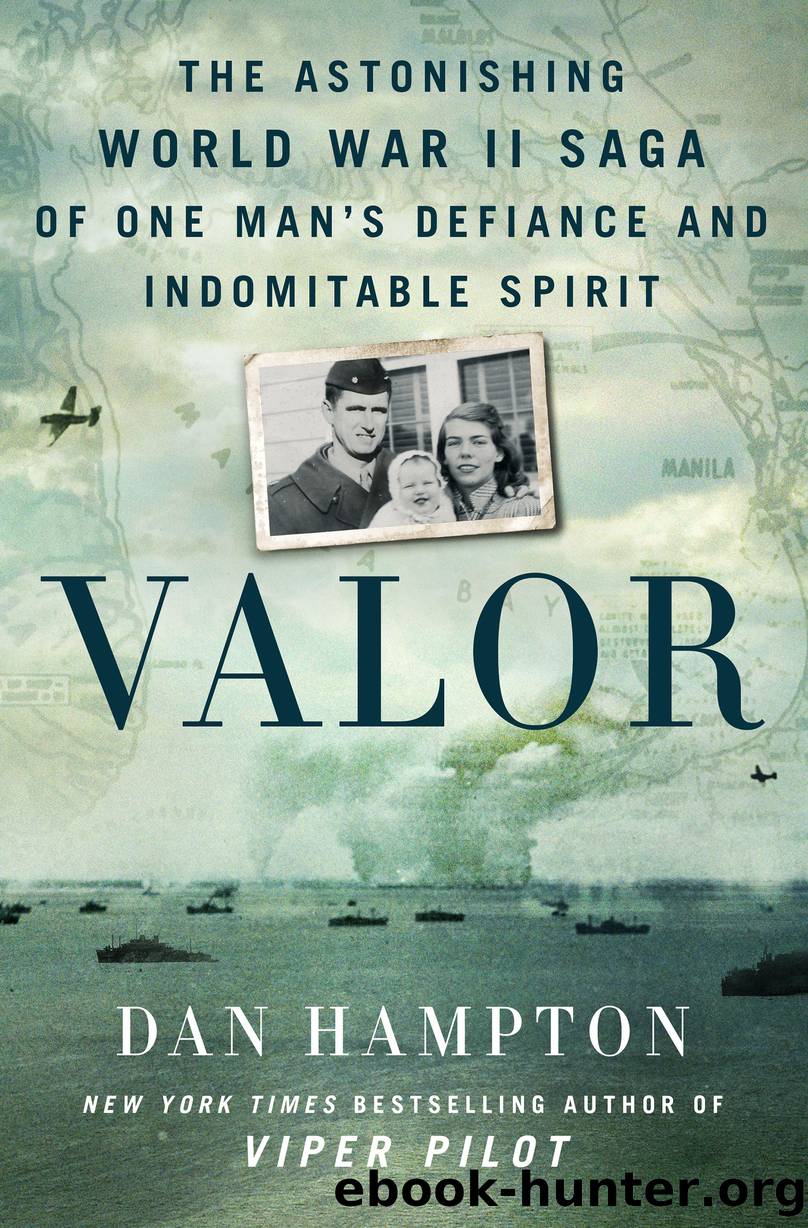 Valor by Dan Hampton