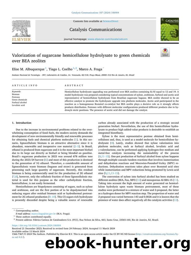 Valorization of sugarcane hemicellulose hydrolysate to green chemicals over BEA zeolites by Elise M. Albuquerque & Tiago L. Coelho & Marco A. Fraga