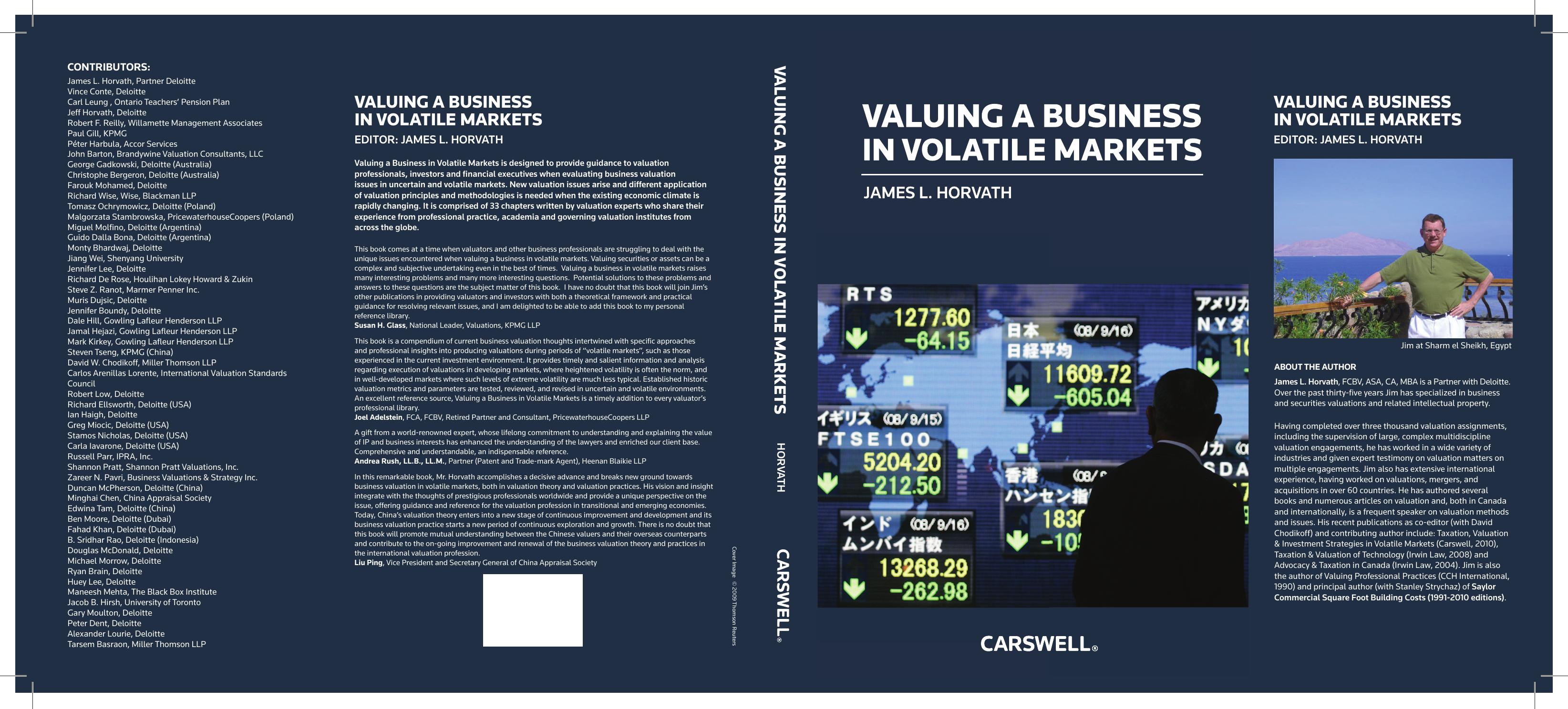 Valuing a Business in Volatile Markets by Jim Horvath (Ed)