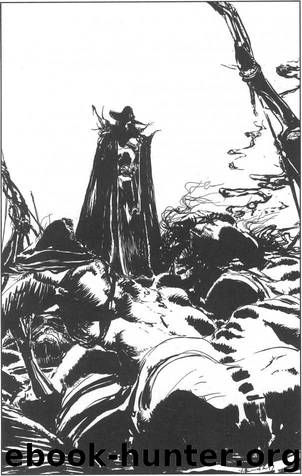 Vampire Hunter D Vol 10 by Hideyuki Kikuchi