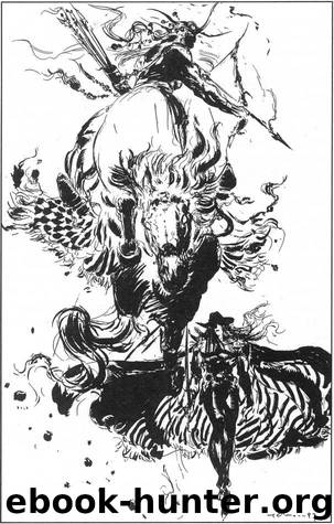 Vampire Hunter D Vol 13 by Hideyuki Kikuchi