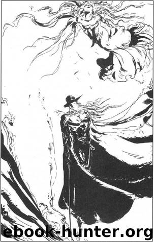 Vampire Hunter D Vol 14 by Hideyuki Kikuchi