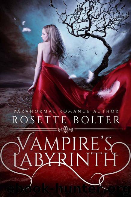 Vampire's Labyrinth (Vampire's Valentine Book Three) by Bolter Rosette
