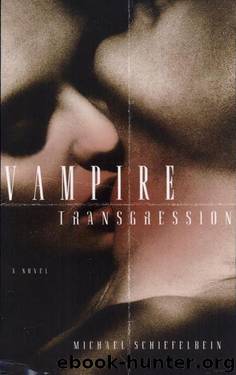 Vampires 3 - Vampire Transgression by Michael Schiefelbein