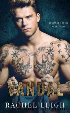 Vandal: An MM Bully Romance (Redwood Rebels Book 3) by Rachel Leigh