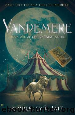 Vandemere: A young man battles prejudice and a vengeful spirit in a 1930s circus. (Circ de Tarot) by Kimberley D. Tait