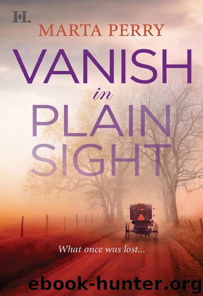 Vanish in Plain Sight by Marta Perry