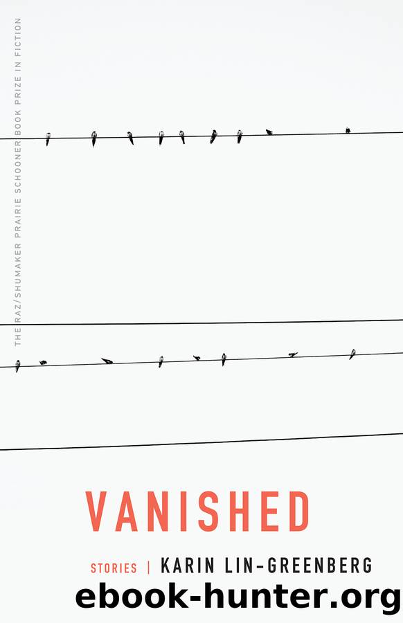 Vanished by Karin Lin-Greenberg