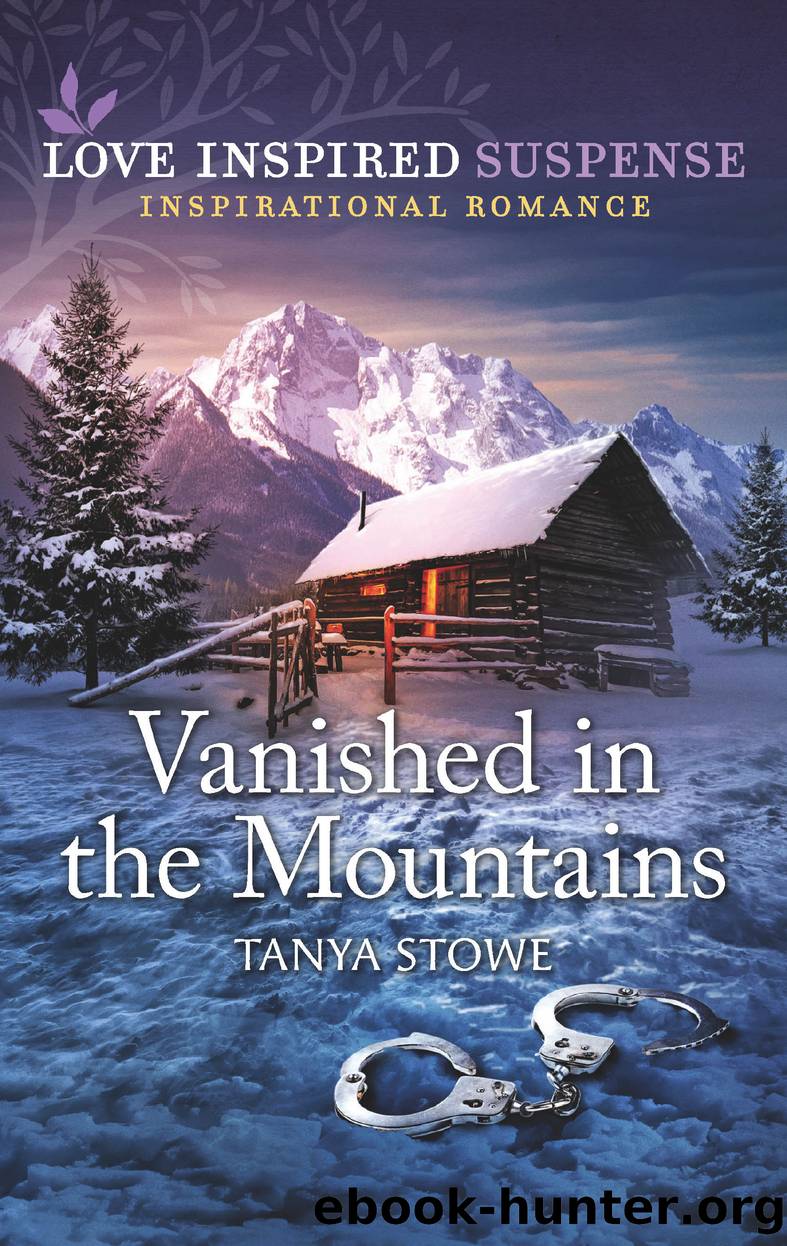 Vanished in the Mountains by Tanya Stowe
