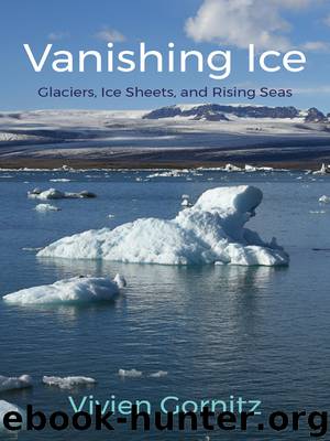 Vanishing Ice by Vivien Gornitz