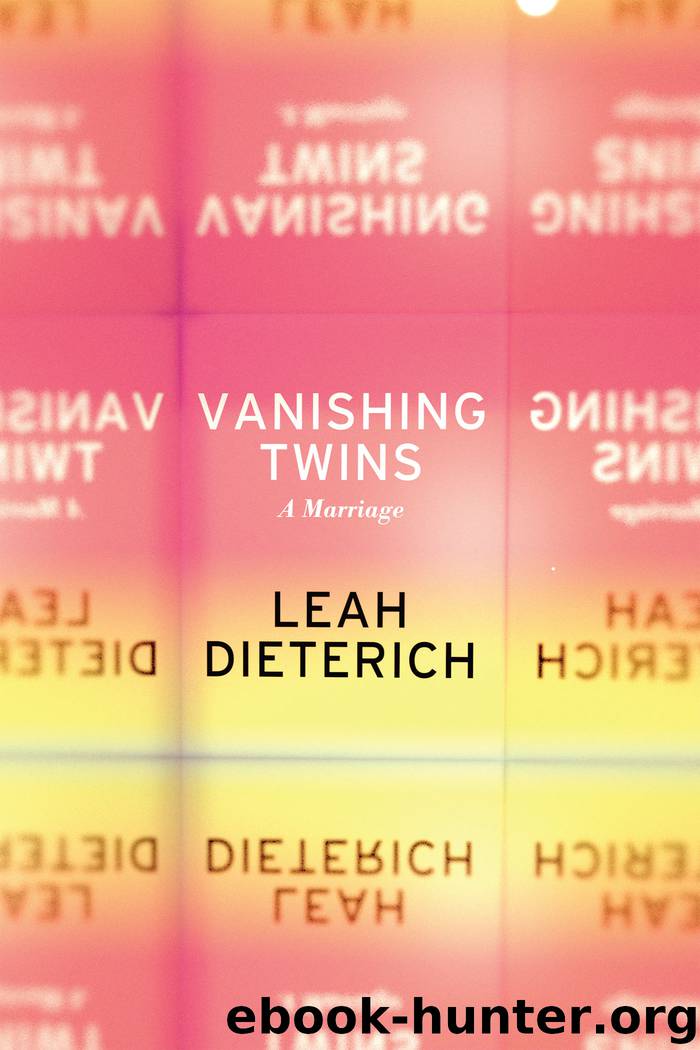 Vanishing Twins by Leah Dieterich
