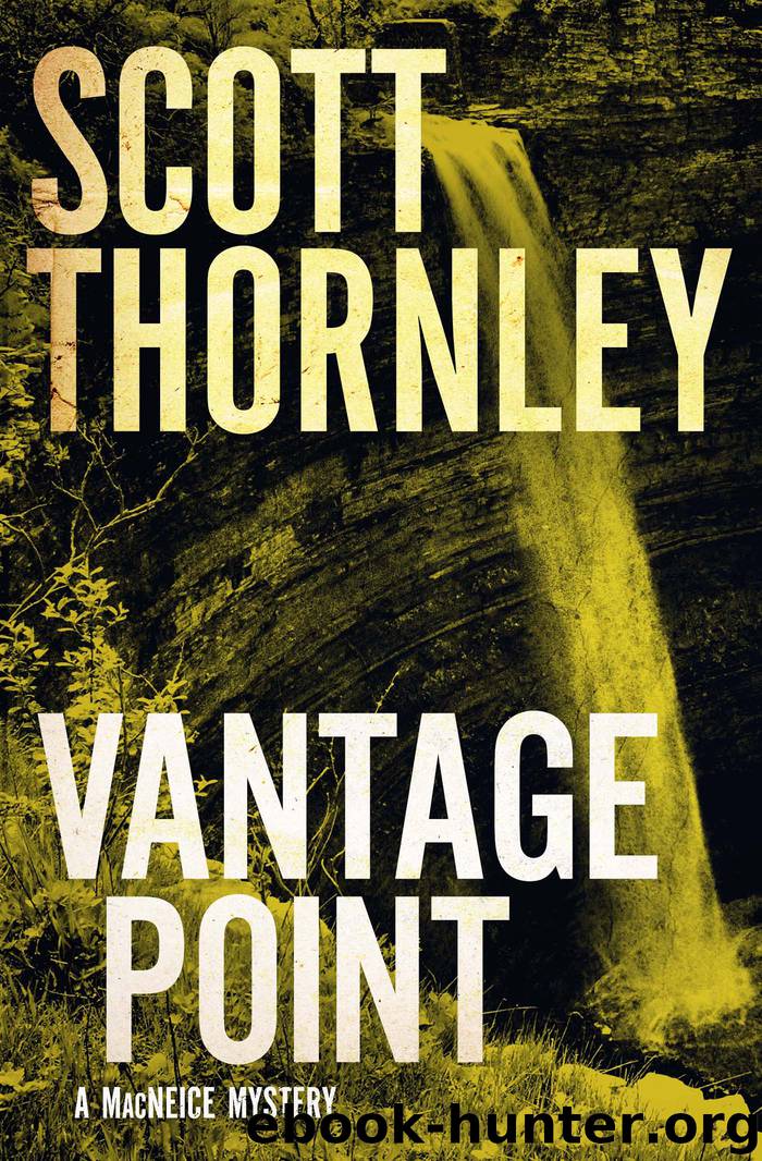 Vantage Point by Scott Thornley