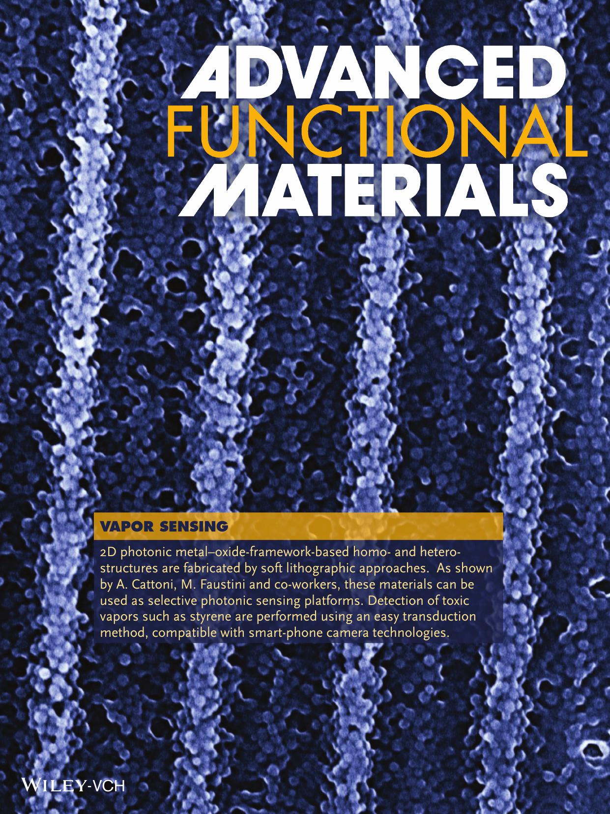 Vapor Sensing: Nanoimprinted, Submicrometric, MOF‐Based 2D Photonic Structures: Toward Easy Selective Vapors Sensing by a Smartphone Camera (Adv. Funct. Mater. 1/2016) by Unknown