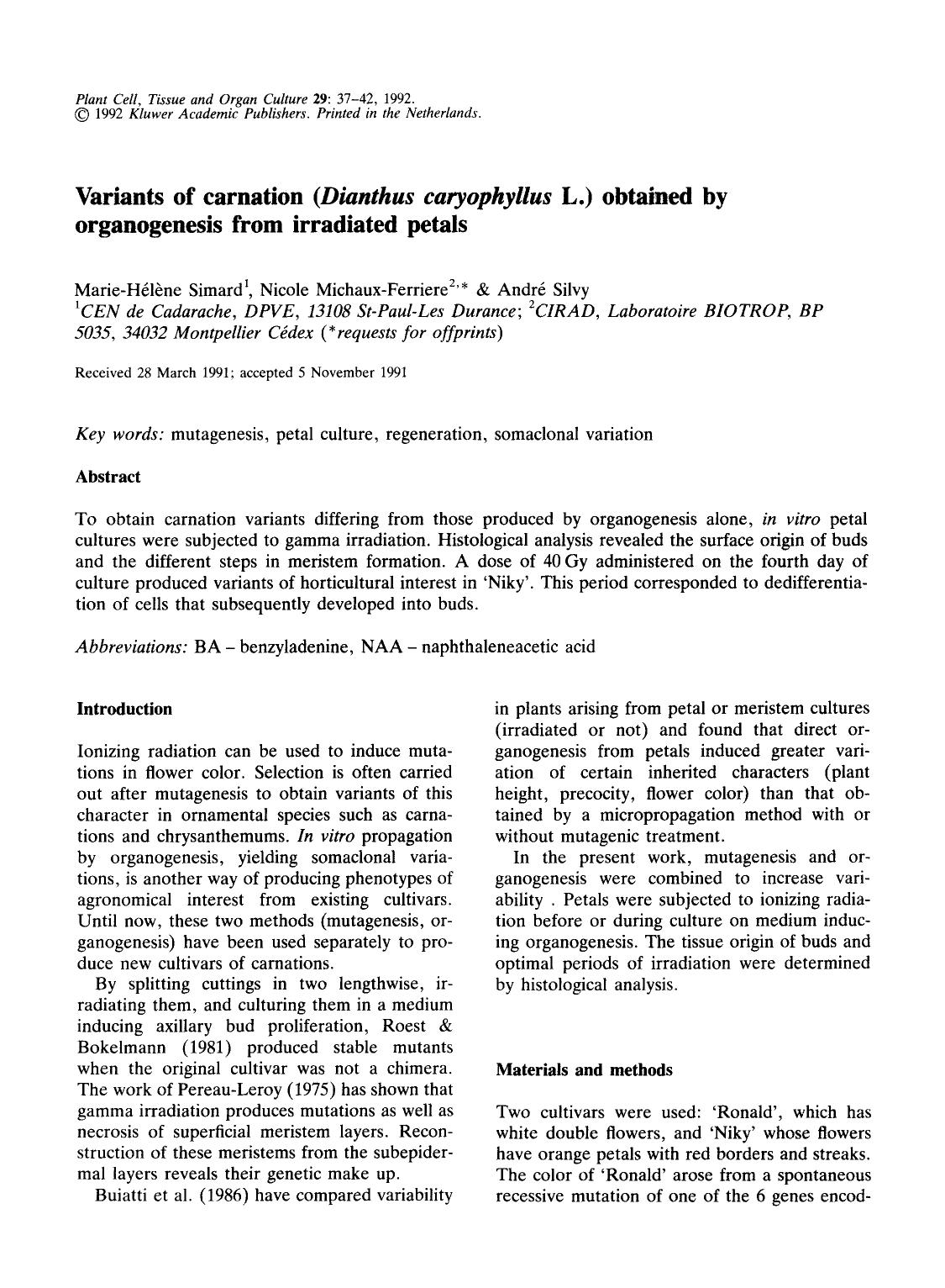 Variants of carnation ( <Emphasis Type="Italic">Dianthus caryophyllus <Emphasis> L.) obtained by organogenesis from irradiated petals by Unknown