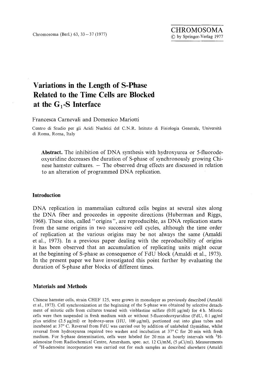Variations in the length of S-phase related to the time cells are blocked at the G<Subscript>1<Subscript>-S interface by Unknown