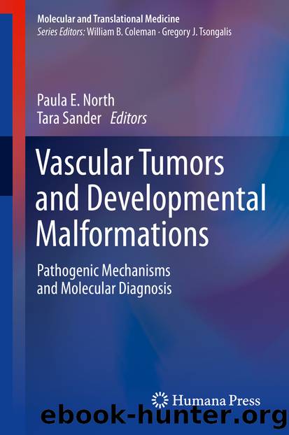 Vascular Tumors and Developmental Malformations by Paula E. North & Tara Sander