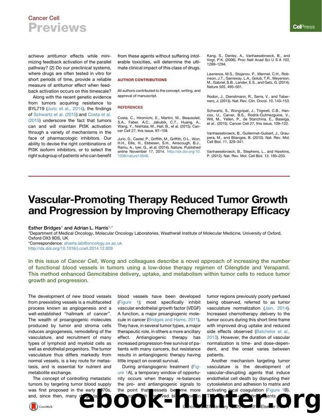 Vascular-Promoting Therapy Reduced Tumor Growth and Progression by Improving Chemotherapy Efficacy by Esther Bridges & Adrian L. Harris