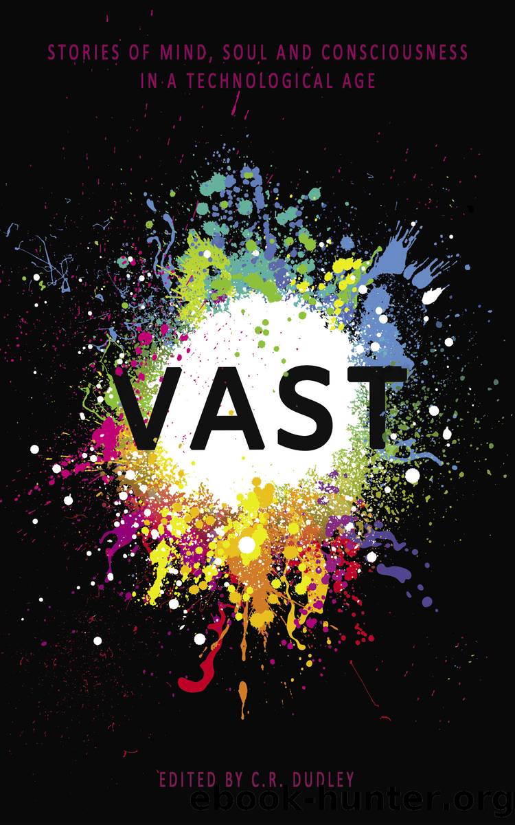Vast by Peter Burton