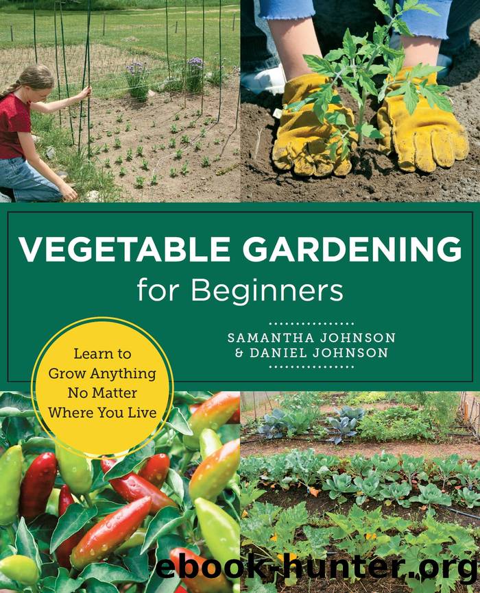 Vegetable Gardening for Beginners by Johnson Daniel;Johnson Samantha;
