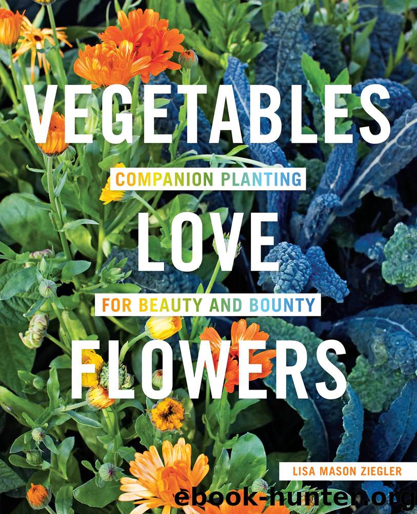 Vegetables Love Flowers by Lisa Mason Ziegler