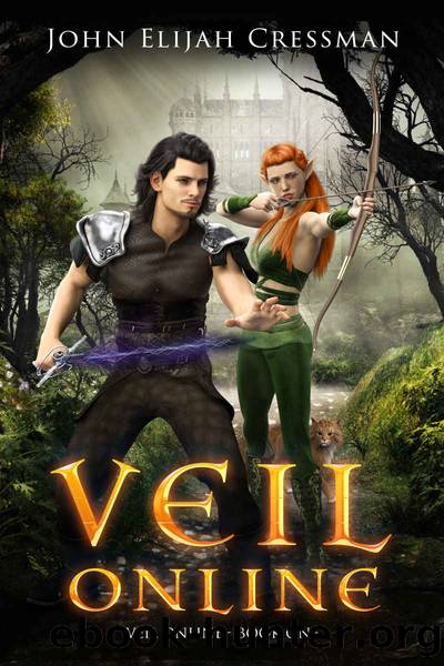 Veil Online - Book 1 (a LitRPG MMORPG Adventure Series) by John Cressman
