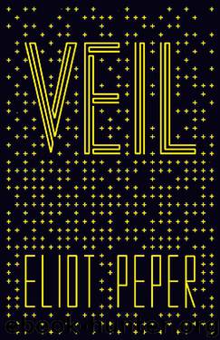 Veil by Eliot Peper