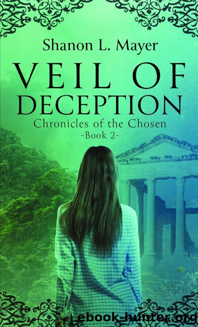 Veil of Deception by Shanon L. Mayer
