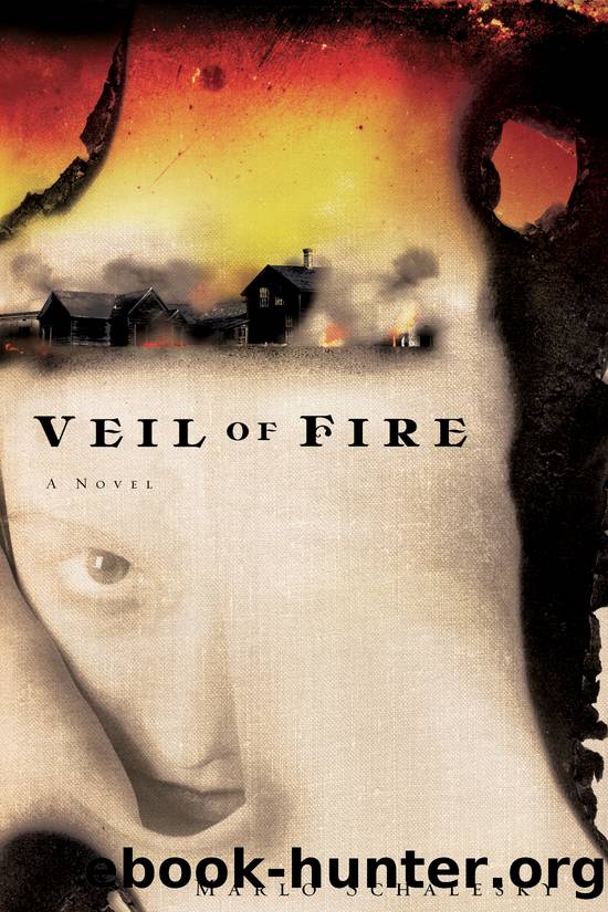 Veil of Fire by Marlo Schalesky