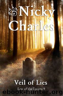 Veil of Lies by Nicky Charles
